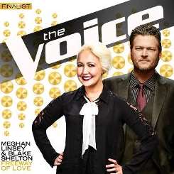 Meghan Linsey - Freeway of Love [The Voice Performance] mp3 download
